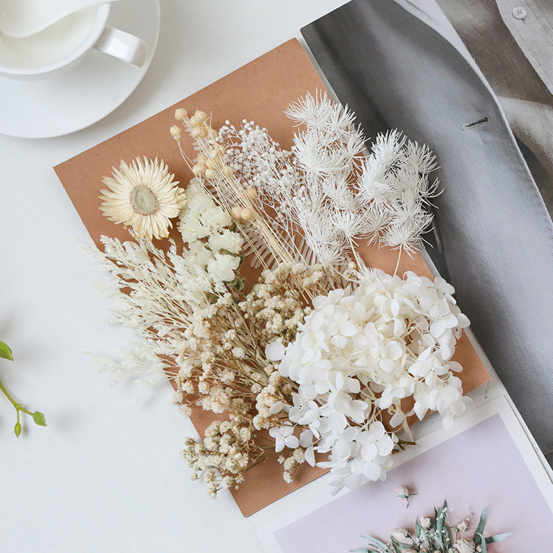 Flor seca flor eterna marco de fotos en relieve paquete de material flotante hecho a mano aromaterapia ventilador redondo actividad salón grupo edificio transfronterizo al por mayor