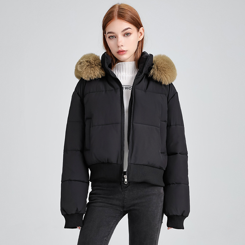 Europa y los Estados Unidos comercio exterior azul tibetano sensación de diseño encapuchado algodón cuello de invierno nuevo algodón corto chaqueta de pan