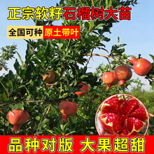 ʯ������ش��ͻ��˹ܛ�ю����ش�����ʯ���Ϙ�ͥԺ���Թ�����