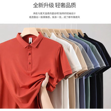 �՚��POLO��ɫ�̄շ��I����POLO���ճ�ͨ�����e�ٴ��ӡ�ִ̽�