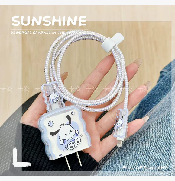 Charger, protective case, set
