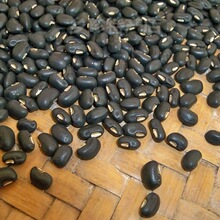 ���ڏV���Rɽ�����ü�����׶�С�ڶ���Ʒ�N���󠀿ڸз�Ŵ���]