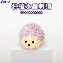 科教玩具;科学实验玩具;其他益智玩具