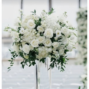 �羳�S�����l��ɫõ�彑����滨���c��Y�����Ɍ������bٻ�