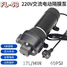 220V隔膜泵自吸泵花园泵增压泵水泵抽水机微型泵抽水机水泵大流量