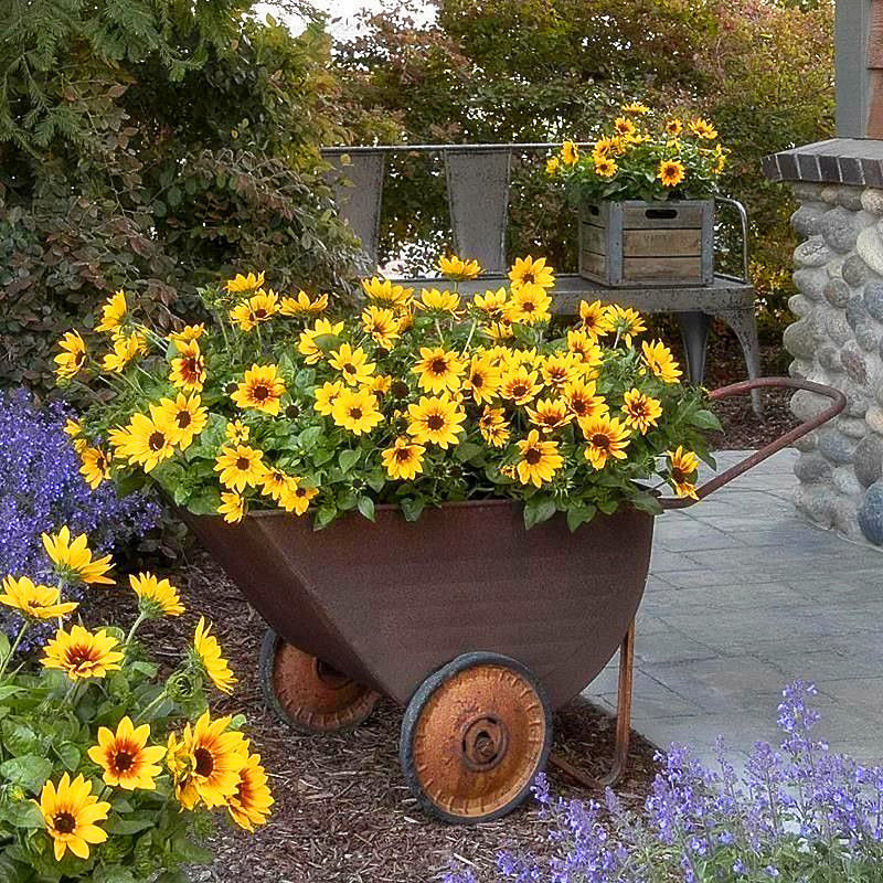 de7e06c1-f009-44a9-a449-851817ef6d42.jpe