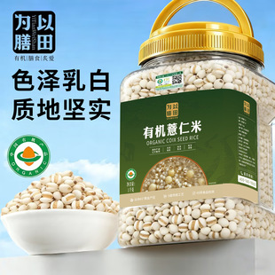 ������� �ЙC޲���� ���V���|�V�ߵ��� ޲��������s�Z ����޲��