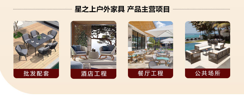 4.主营项目
