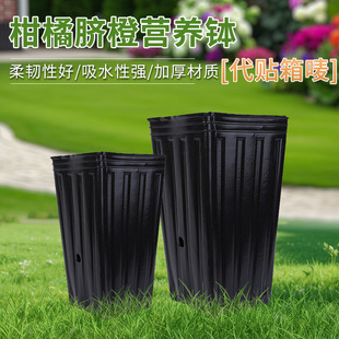 ����Ě�ȠI�B���@�ֻ����àI�B�����L���κ�ɫ�Ӻ�Ӹ����ϷNֲ��