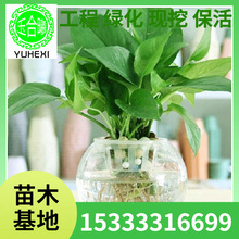 ˮ��ˮ�Bֲ�� �~�X�ݾG�}�������[�}������ �׃��@��ͯ�^����ӛ