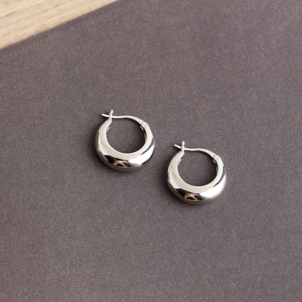 Fashion Circle Sterling Silver Plating Earrings 1 Pair