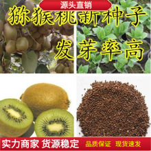 ɢbJҷN Ұļ SļtīJҷN N ]