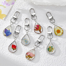 С�����yɫˮ��͸�����z��õ�廨��耳׿ەr���������¿羳�Ʒ