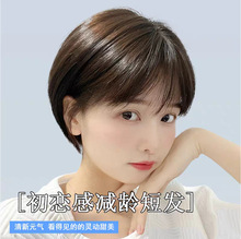 假发真发假发头套时尚减龄女短发波波头机制短发真人发波波头短发