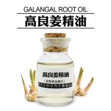  1KG sȻ Galangal Root oil ͏S