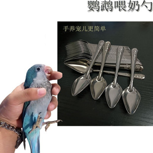 Stainless Steel Parrot Feeder Bird Feeding Spoon Hand-Raising starling Xuanfeng Tiger Skin Baby Bird Feeding Water Feeding Spoon
