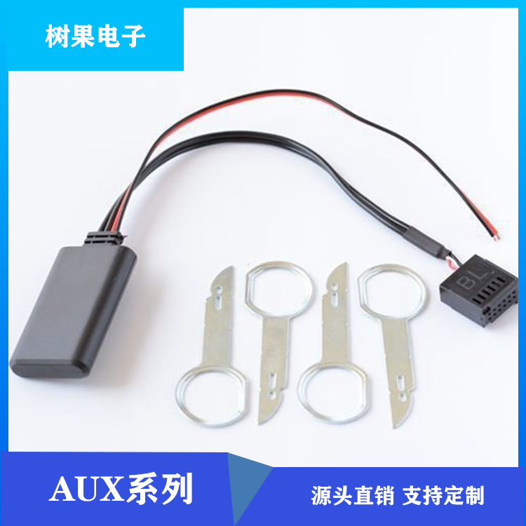 福.特蓝牙+拆机工具 Cavo adattatore perFord FocusFiesta Monde