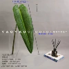 Net red leaves (the leaves and branches are packed and shipped)