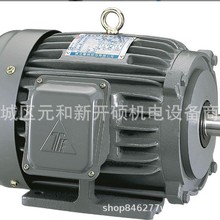 TATUNG台湾大同电动机 电机大同马达 台湾大同电机TATUNG电机