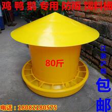 40����Ӻ����Ͱ�����w���uʳ���B�u���Z��ʳͰιʳ���Bֳ�O��