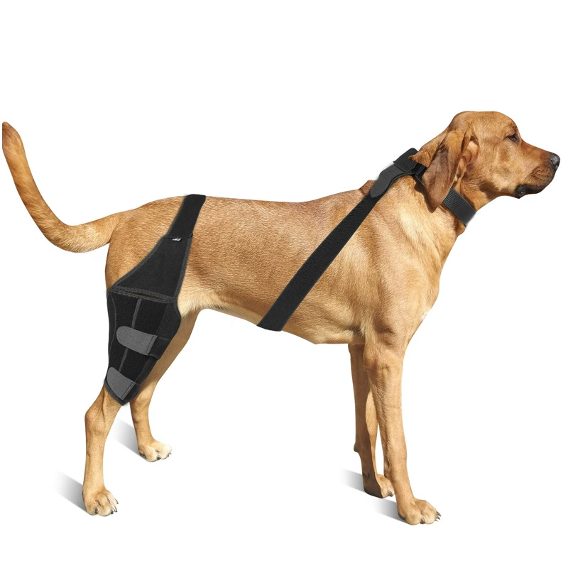 Knee pads, gaiters, protective gear, protective case, Amazon