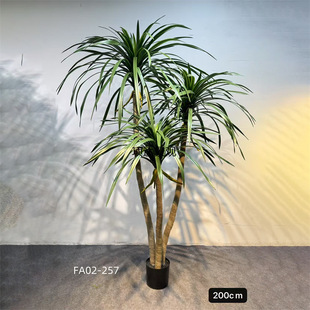 ������Ѫ���F��٘�ֲ����ؔ[����Ѫ��Ҿӵ�䁙����쾰�b�