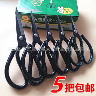 �����i䓼��ü�����ɫ�h���ش�Ƥ�����z�����̺�N��С̖���Ӱ��]