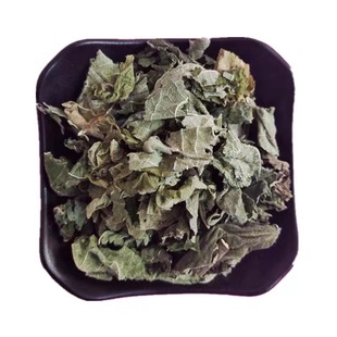 �����h������ș�Ĳ�Ѭ��������~��ș�������~����