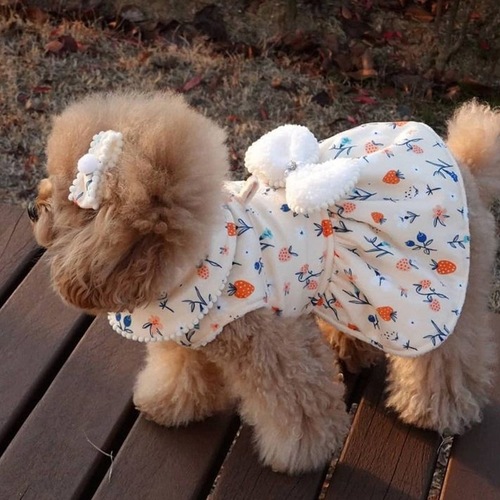 Princess Style Spring and Autumn Warm Thick Dog Dress Cat Two-Paw Skirt for Small and Medium Dogs Pet Dog Clothes
