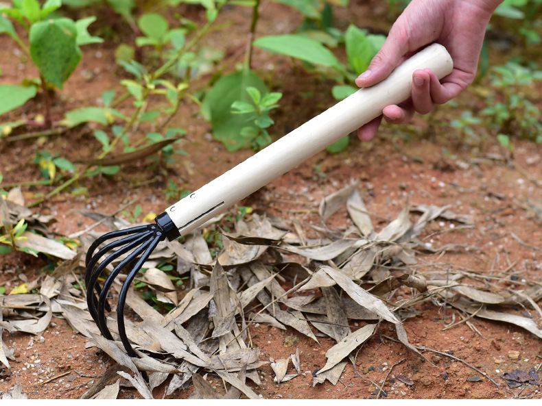 O1CN01jnBriA2LN2IQndNYG_!!3002