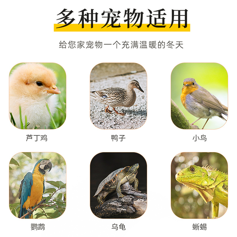 芦丁鸡保温灯保温箱加热灯宠物小鸡小龟爬宠虫晒背育雏取暖控温灯