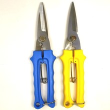 ���P���Ӽ��FƤ�����I������늹����X�۰往�ۼ���7��8���i�ۼ�