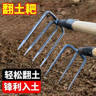 䓰Ҷ��X�����s���b����˰ҷ��������z�ݼ����r��ץ�h���ӎ�ľ��