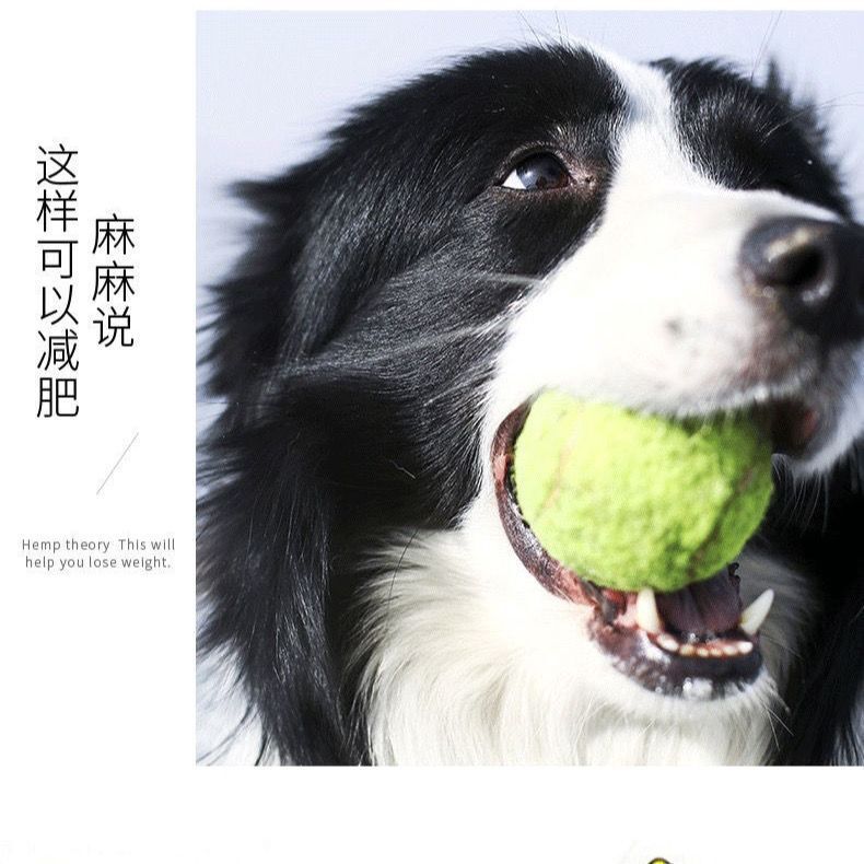 犬のおもちゃボール弾性テニスボールゴールデンレトリバーサモエドトレーニングインタラクティブおもちゃ歯ぎしりトレーニングボール形状ラウンド|undefined