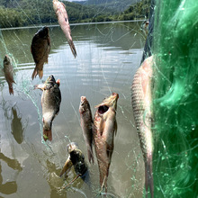 三层渔网网鱼进口丝1.5米2米3米高鱼网100米沉网粘网丝网鲫鱼捕鱼