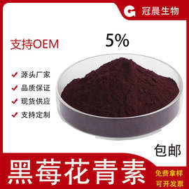 黑莓花青素5% 食品级日化级 黑莓提取物 冠晨生物 黑莓花色苷