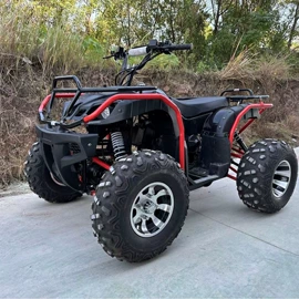 沙滩车;摩托车配附件