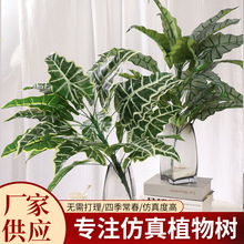 楚小姐 北欧风INS风仿真假绿植假花装饰植物尤加利叶金钱叶铁线莲