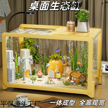 桌面鱼缸家用高清塑料金一体式小型办公室创意生态造景缸热卖厂家