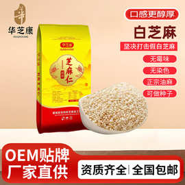 白芝麻熟炒香脱皮商用有皮50斤华芝康芝批发袋装低温烘焙优质芝麻