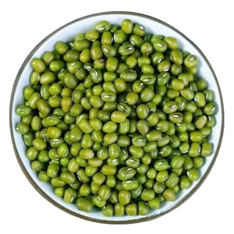 24年东北新货大绿豆5斤农家新鲜绿豆发豆芽煮粥汤易沙新豆1食用|undefined