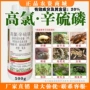 农药地老虎氯辛硫磷