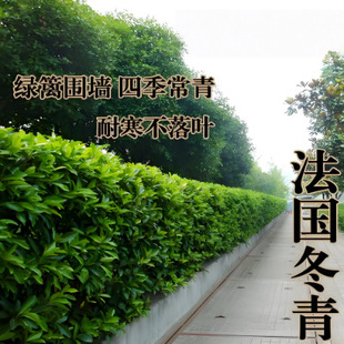 ����������N�ӱ������S��G������~���������G�h�ʏS�^ͥԺɺ��