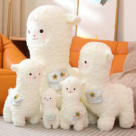 软萌可爱羊驼毛绒玩具小羊布娃娃动物园玩偶儿童抱抱公仔生日礼物