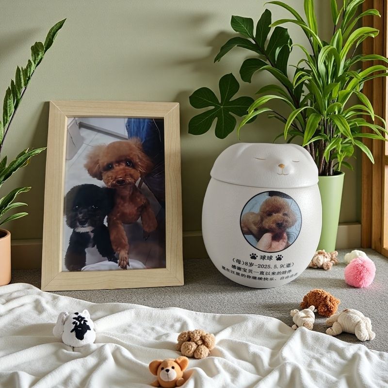 개/인쇄+사진-대형+사진 6inch 장+액자