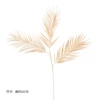 3 Fastern San Tail Leaf-Fujiao Accessories