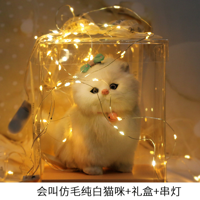 모조 머리 흰 머리 앵커 램프와 투명 선물 상자