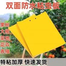 ճճʽωճωßճωմҜω