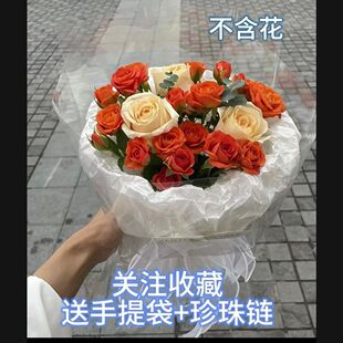 ���˹��ͶY����b���Ʒ��������b��DIY���������r����ݮ������