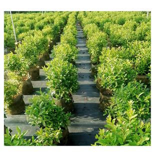 �������l���N����ľ�G�����d�����N����ë���N�����������